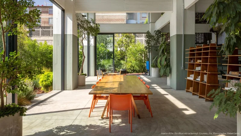 A meeting space in the interior of the JSa office filled with lush green plants, book shelves, and floor-to-ceiling windows.