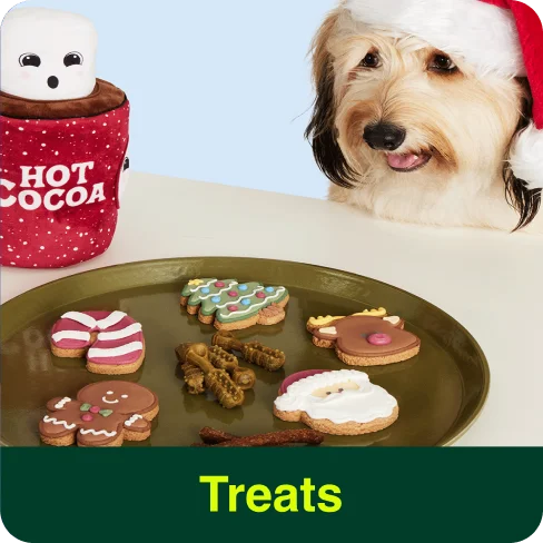 Treats
