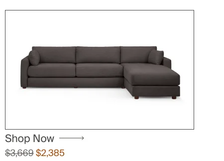 Sleeper Sofa