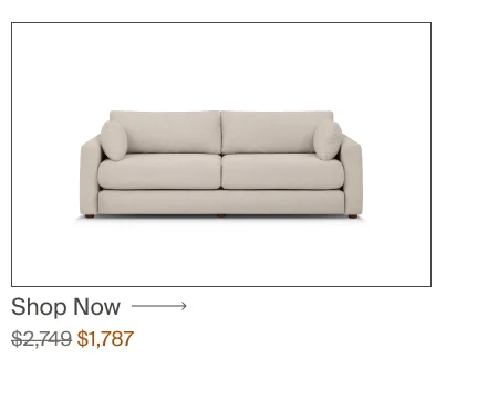Sleeper Sofa