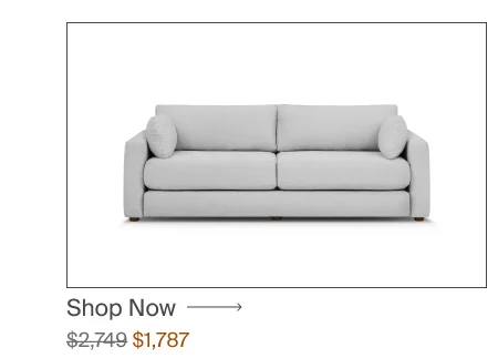 Sleeper Sofa
