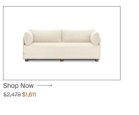 Sleeper Sofa
