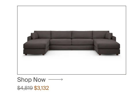 Sleeper Sofa