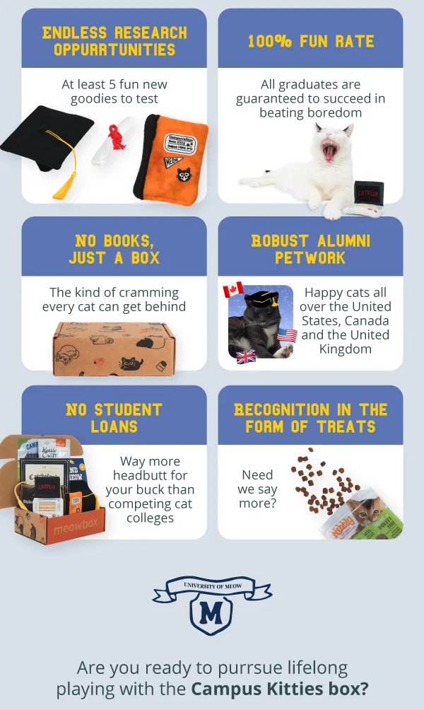 Endless research oppurrtunities  - At least 5 fun new goodies to test (Image of the Cap & Diplomeow 2-pack and Compurrsition Notebook). 100% fun rate  - All graduates are guaranteed to succeed in beating boredom (Image of a white black spotted cat yawning next to the Mewvie Night Laptop Scratcher toy). No books, just a box  - The kind of cramming every cat can get behind (Image of a meowbox). Robust alumni petwork  - Happy cats all over the United States, Canada and the United Kingdom (Image of a cat with a graduation cap with flags of Canada, USA and UK around the portrait). No student loans  - Way more headbutt for your buck than competing cat colleges (Image of the Campus Kitties meowbox). Recognition in the form of treats  - Need we say more? (Image of an open bag of cat treats with treats spilling out). Are you ready to purrsue lifelong playing with the Campus Kitties box?