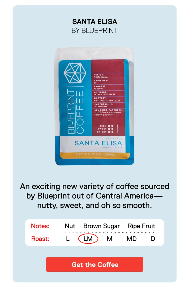 Santa Elisa by Blueprint