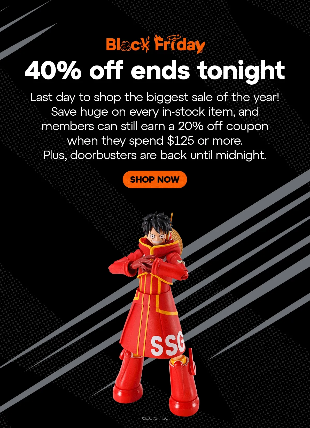 SHOP NOW SHOP NOW