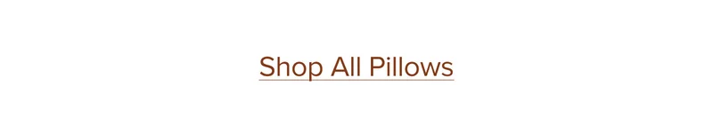 Shop All Pillows.