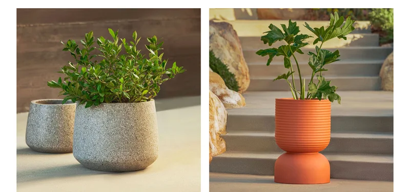 Accent your greenery with delightful planters.