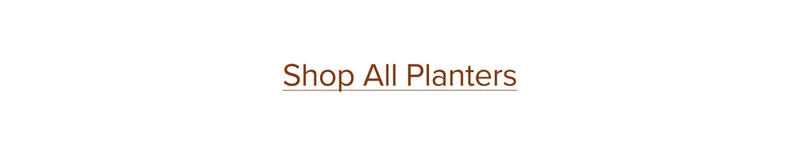 Shop all planters.