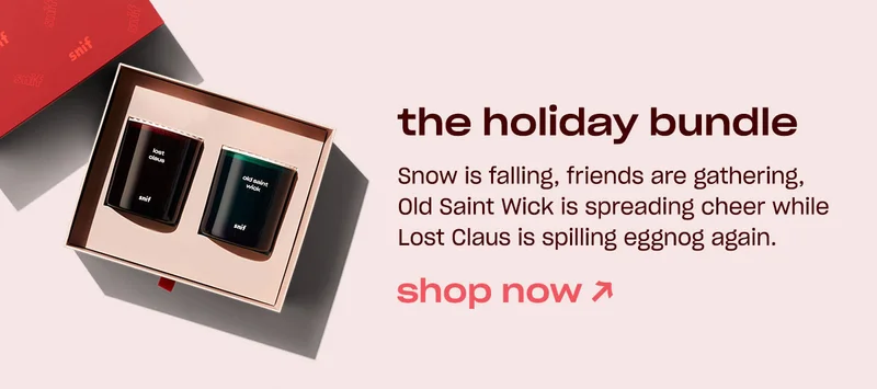 Shop the Holiday Bundle. ↗