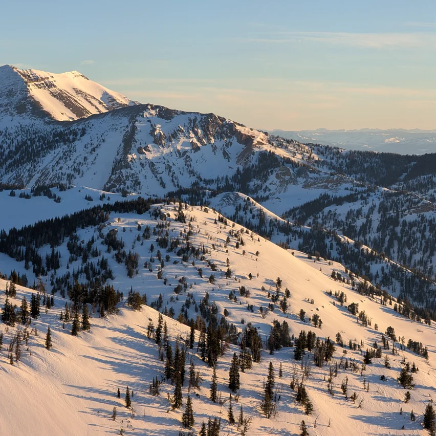 A snowy mountain range is bathed in the warm, golden light of sunset, casting long shadows across the snow-covered slopes and sparse evergreen trees.