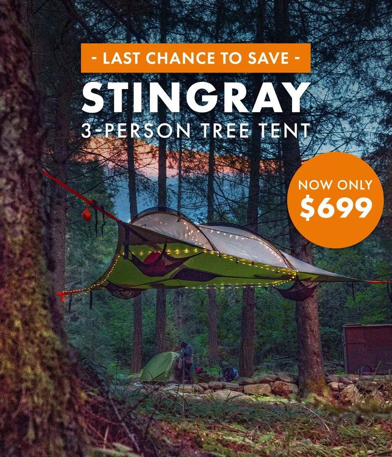 Stingray Only $699