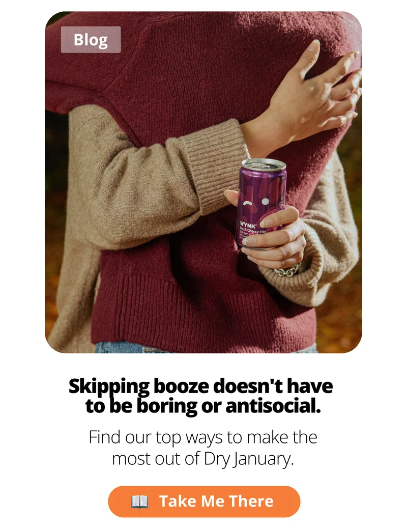 Wynk Dry January Tips blog