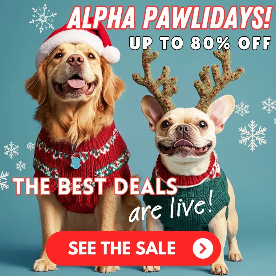 See the Pawlidays