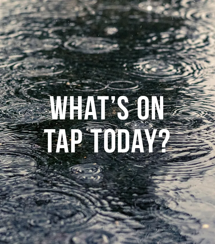 WHAT'S ON TAP TODAY?
