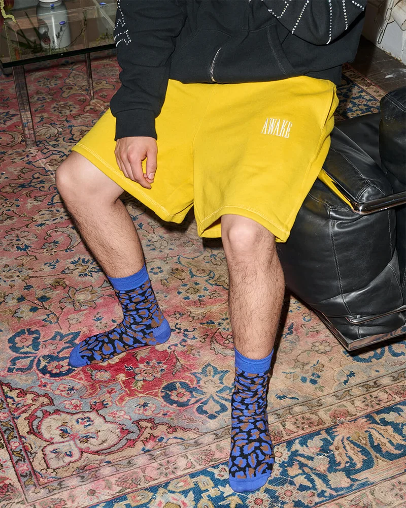 Happy Socks x Awake NY