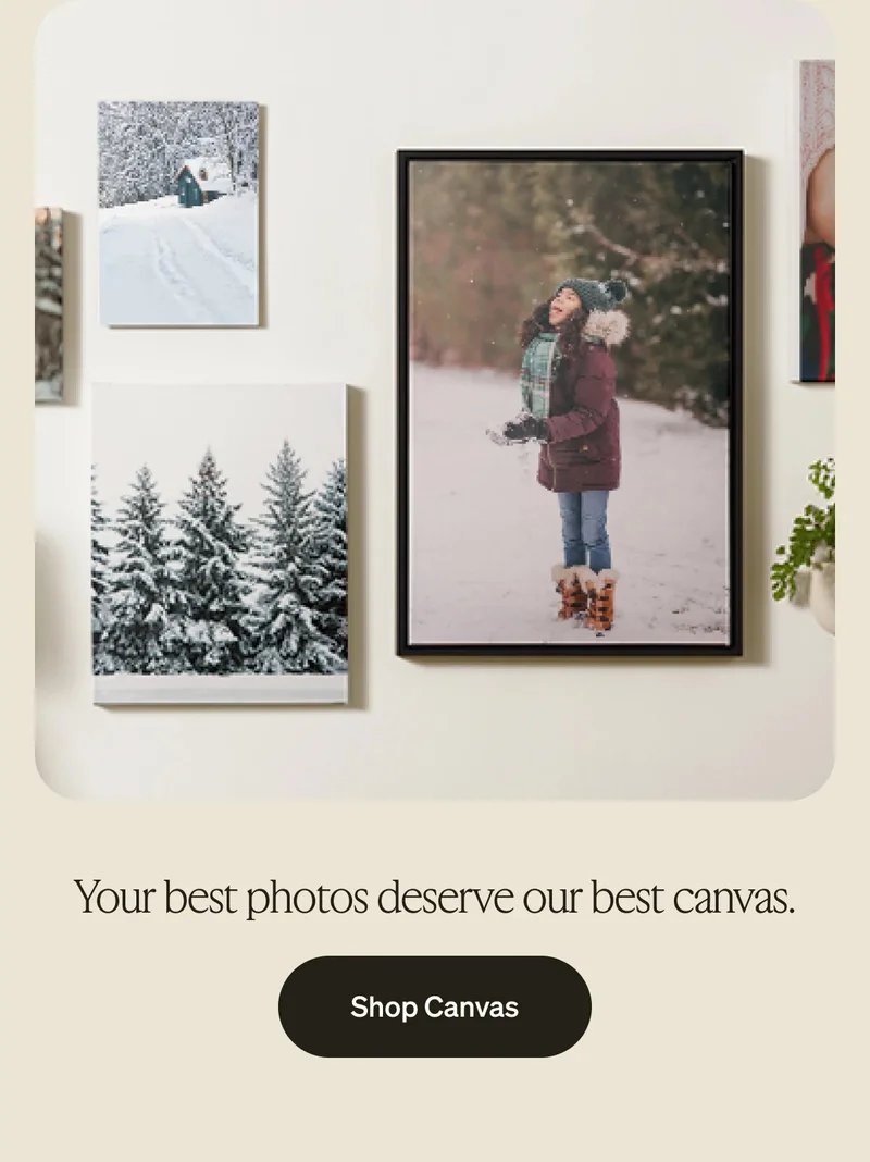 50% Off Almost Everything, Free Shipping on Cards, Flash Sale
