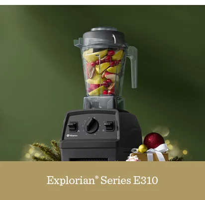 Explorian Series E310