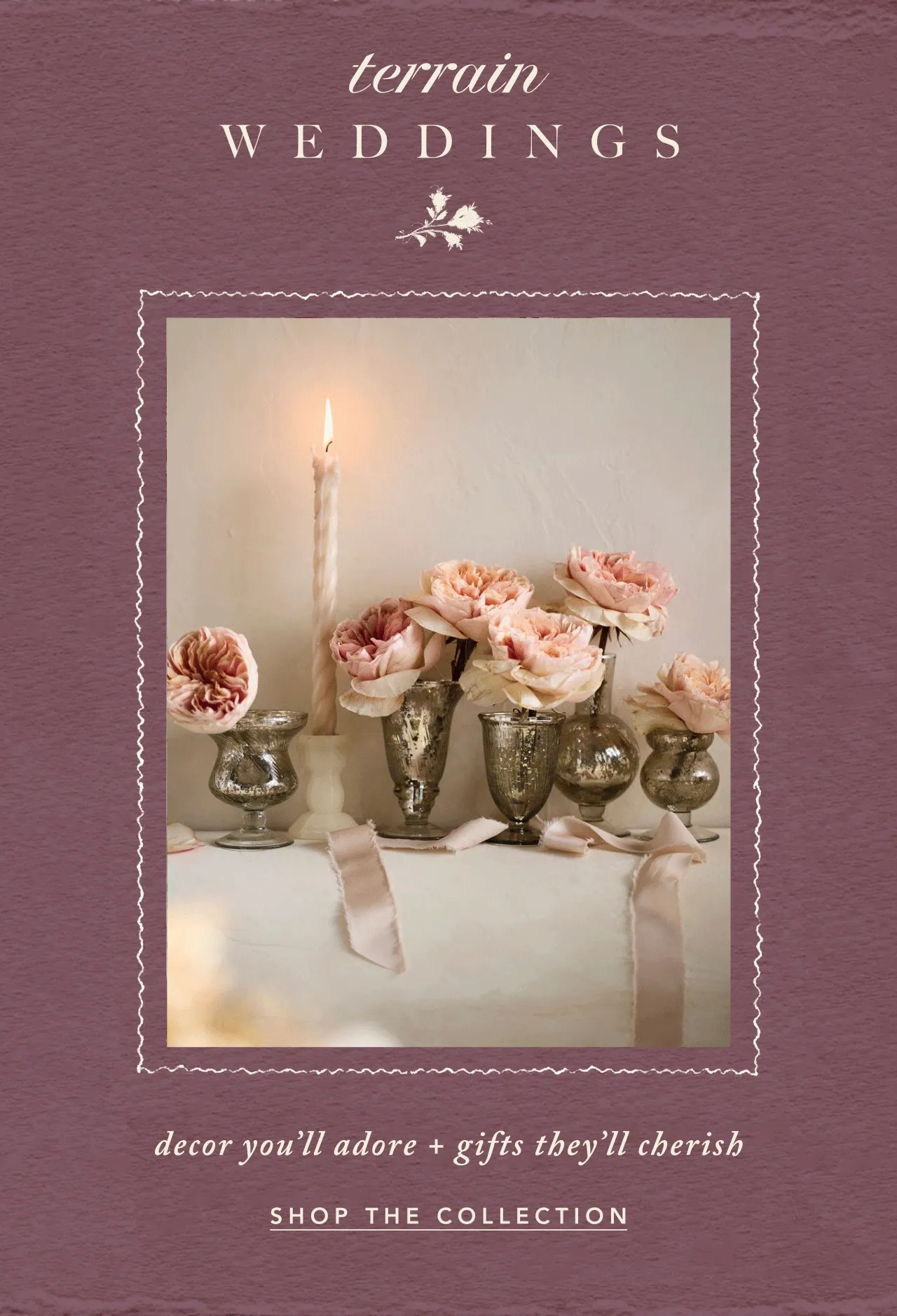 Terrain. Decor you'll adore and gifts they'll cherish. Shop the collection.