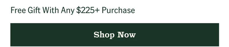 Free Gift With Any $225+ Purchase - Shop Now