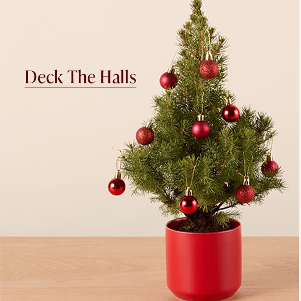 Deck The Halls Tree