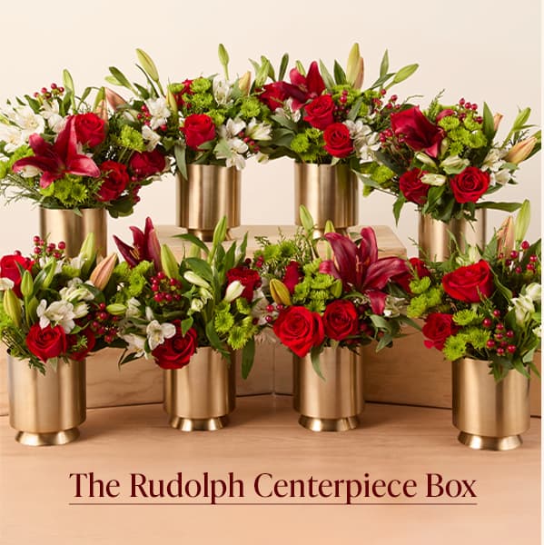 The Rudolph Centerpiece Box