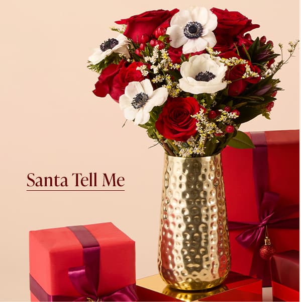 Santa Tell Me Bouq