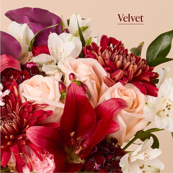 Velvet Bouq