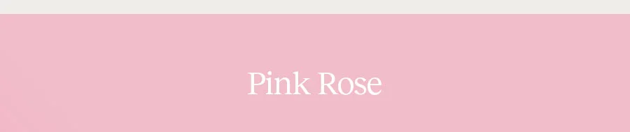 Pink Rose