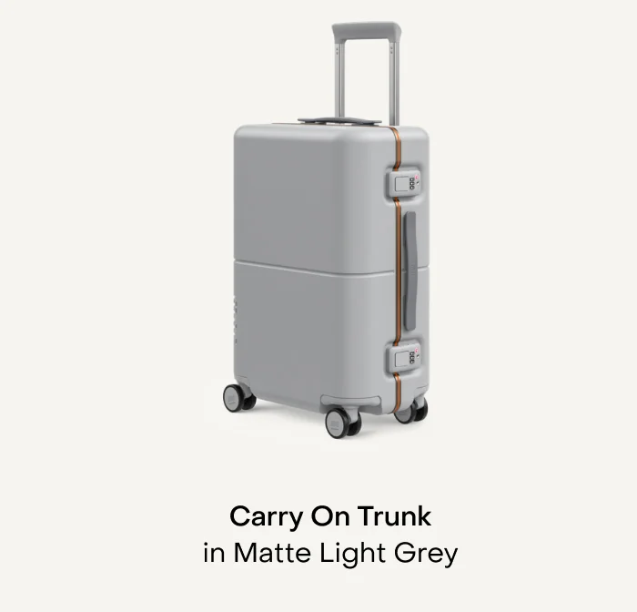 Carry On Trunk in Matte Light Grey
