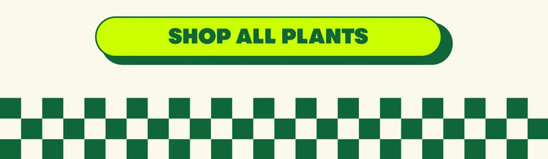 shop all plants