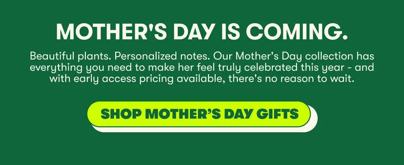 Shop Mother's Day