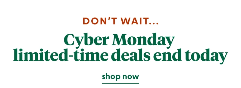 cyber-monday-deals