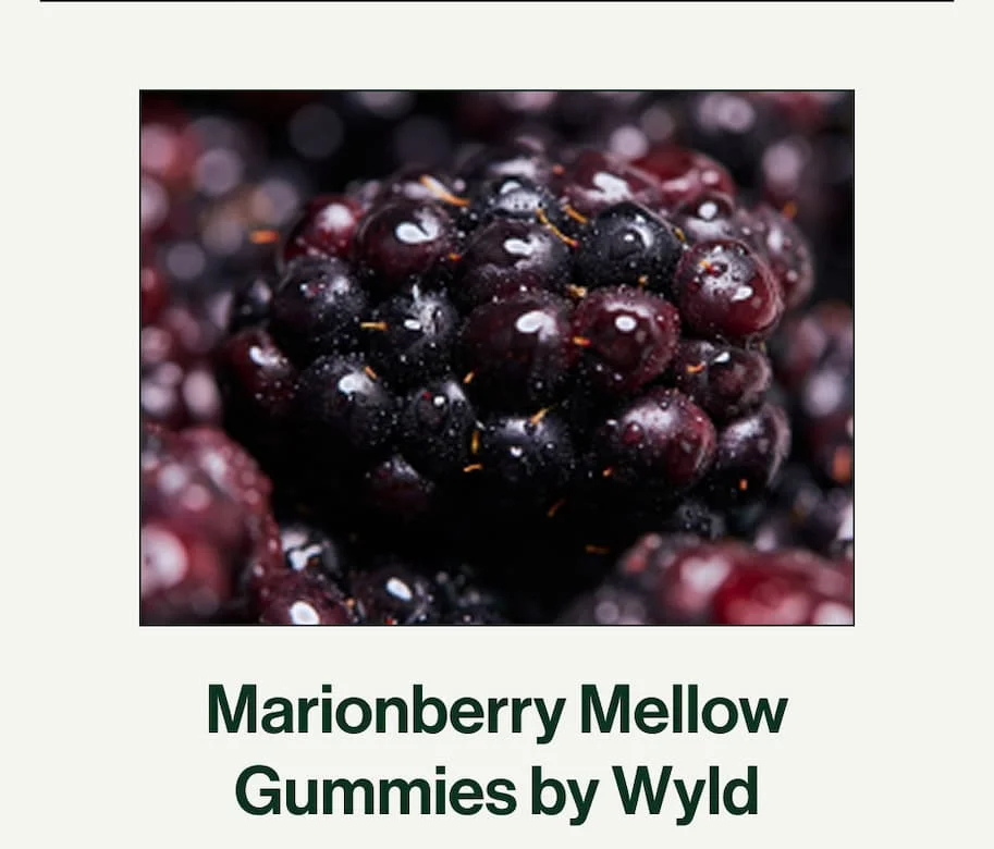 Wyld Marionberry Gummies