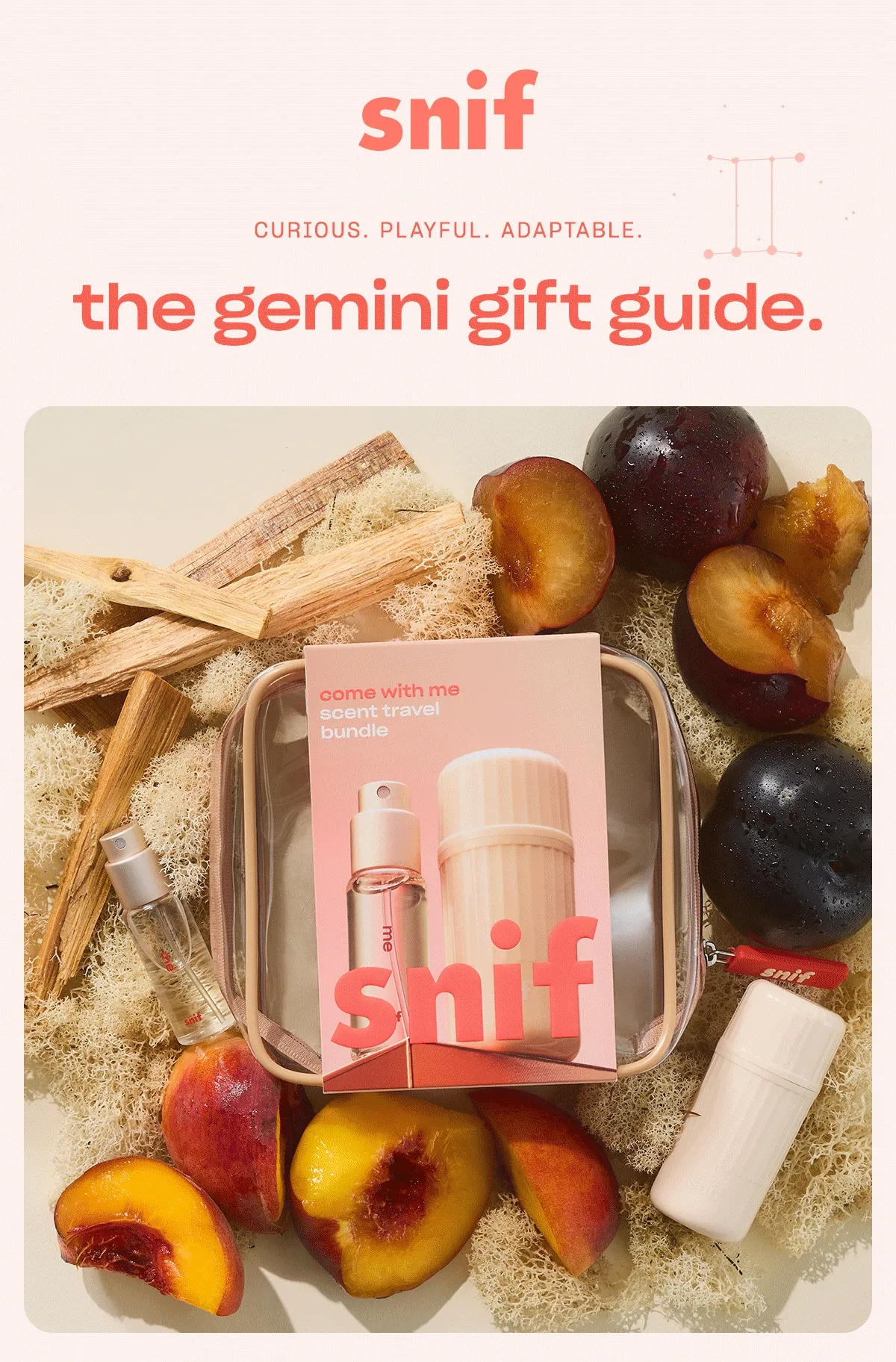 the gemini gift guide.
