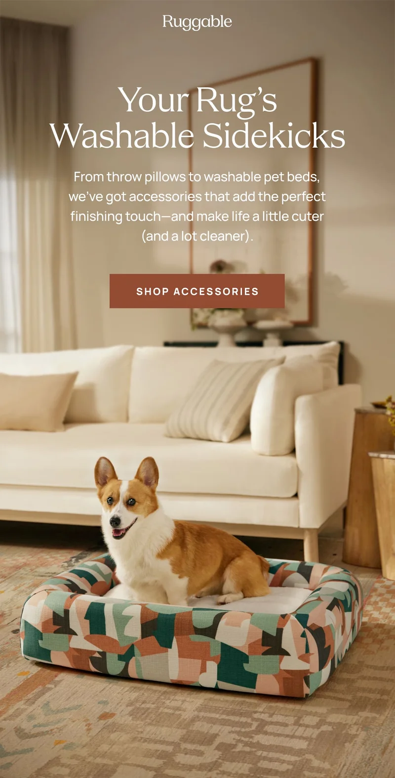 Shop Accessories