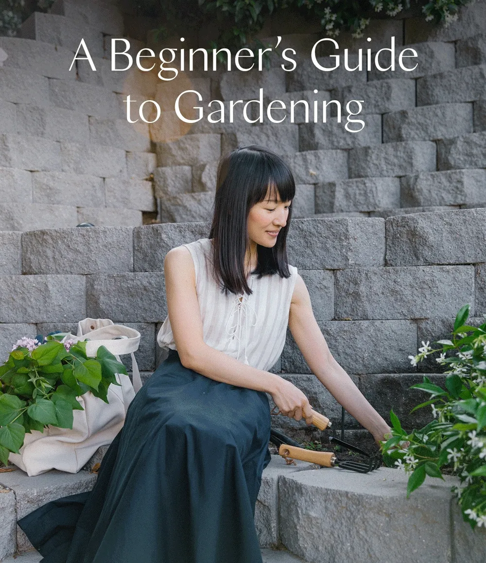A Beginner’s Guide to Gardening
