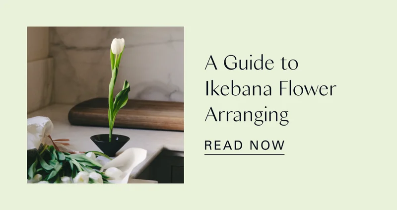 A Guide to Ikebana Flower Arranging