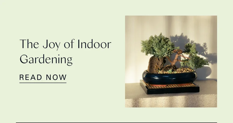 The Joy of Indoor Gardening