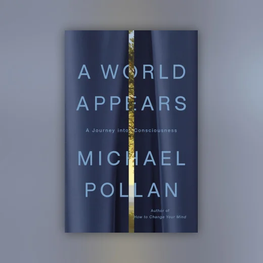 A World Appears