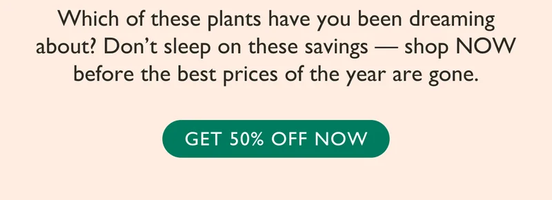 Which of these plants have you been dreaming about? Don't sleep on these savings - shop now before the best prices of the year are gone.