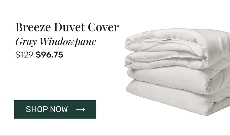 Breeze Duvet Cover Gray Windowpane