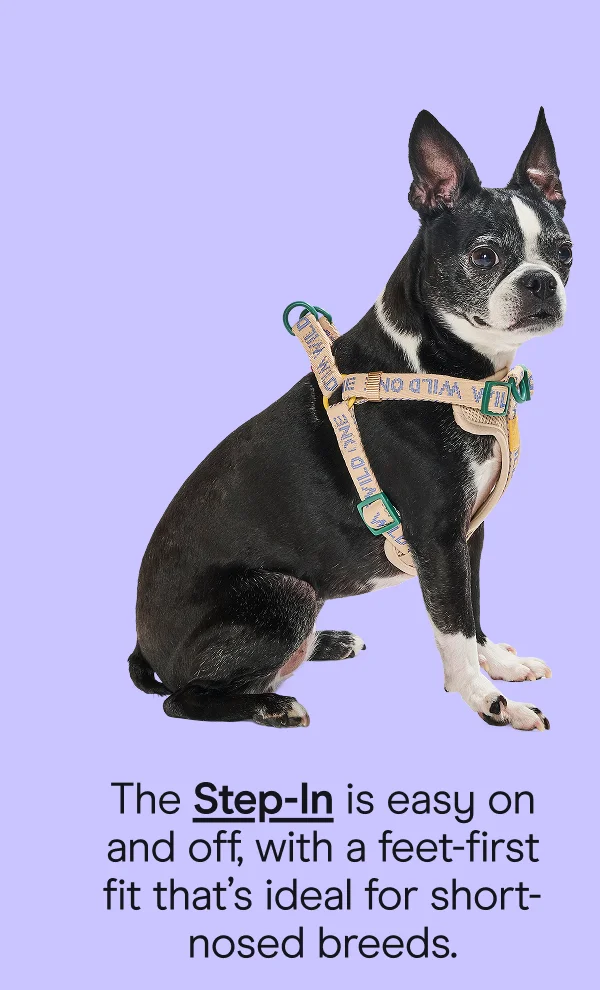 step-in is easy on and off with a feet-first fit that's ideal for short-nosed breeds