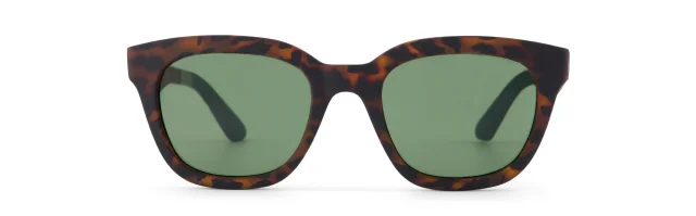 Savanna Traveler Sunglasses - Image