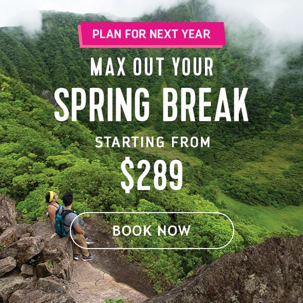 MAX OUT YOUR SPRING BREAK