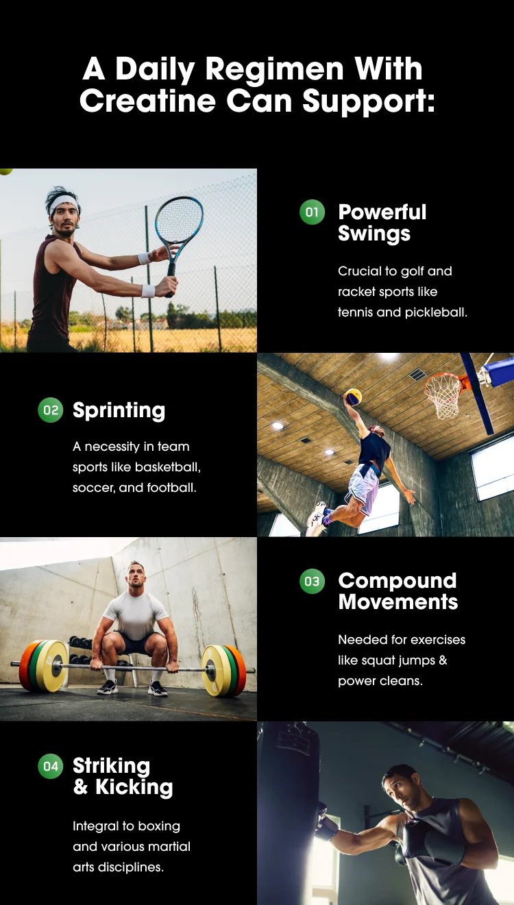 A Daily Regimen With Creatine Can Support: 01 Powerful Swings Crucial to golf and racket sports like tennis and pickleball. 02 Sprinting A necessity in team sports like basketball, soccer, and football. 03 Compound Movements Needed for exercises like squat jumps & power cleans. 04 Striking & Kicking Integral to boxing and various martial arts disciplines.