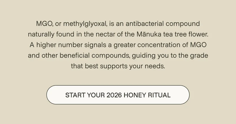 MGO, or methylglyoxal, is an antibacterial compound naturally found in the nectar of the Mānuka tea tree flower. A higher number signals a greater concentration of MGO and other beneficial compounds, guiding you to the grade that best supports your needs. Start Your 2026 Honey Ritual