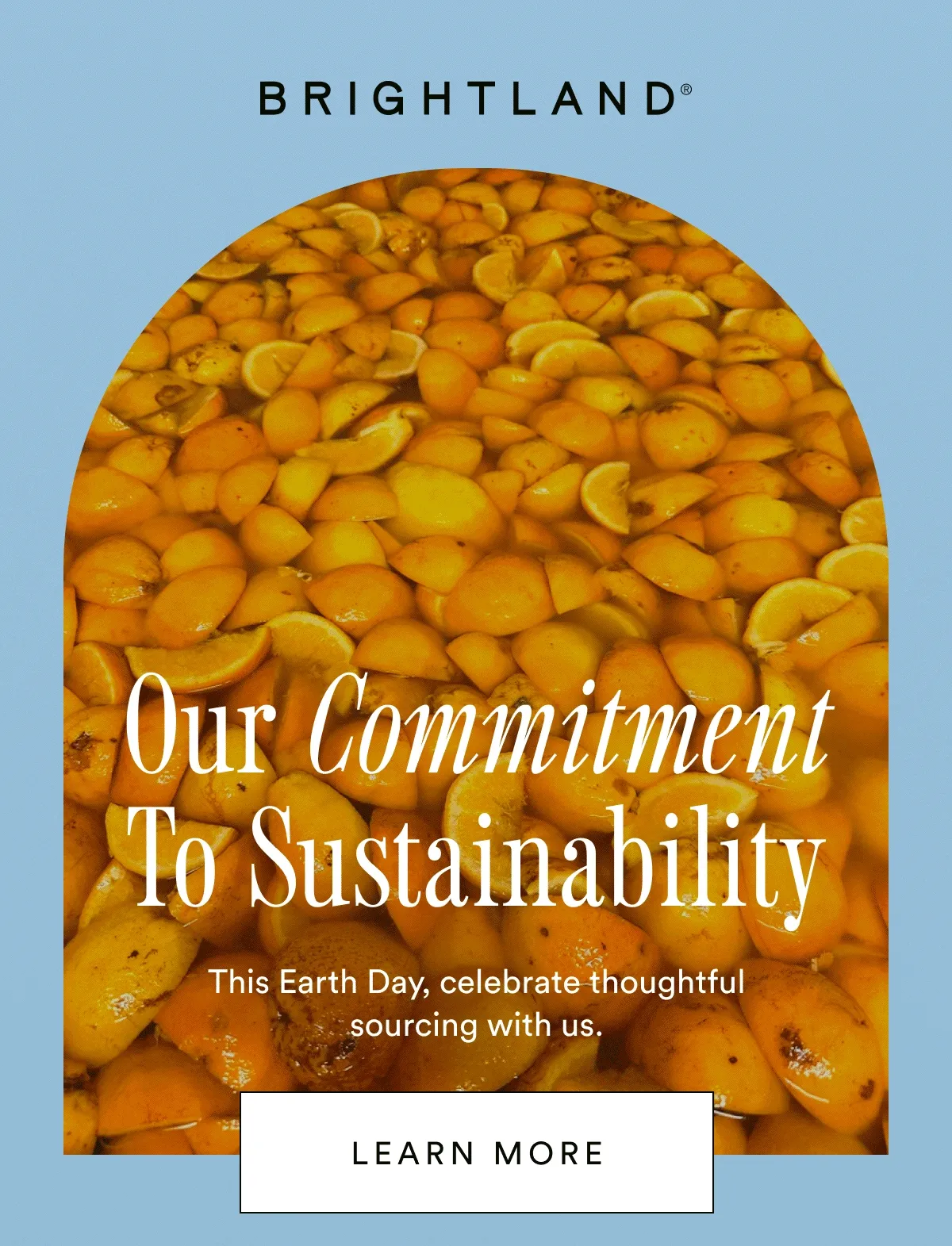Our Commitment to Sustainability. This Earth Day, celebrate thoughtful sourcing with us.