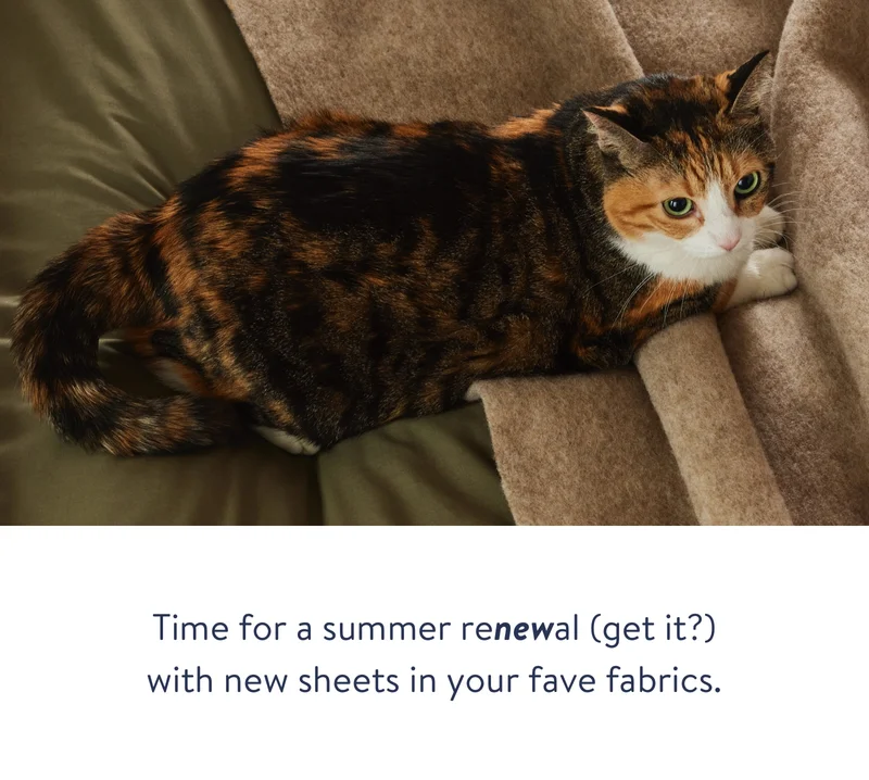 Time for a summer renewal
