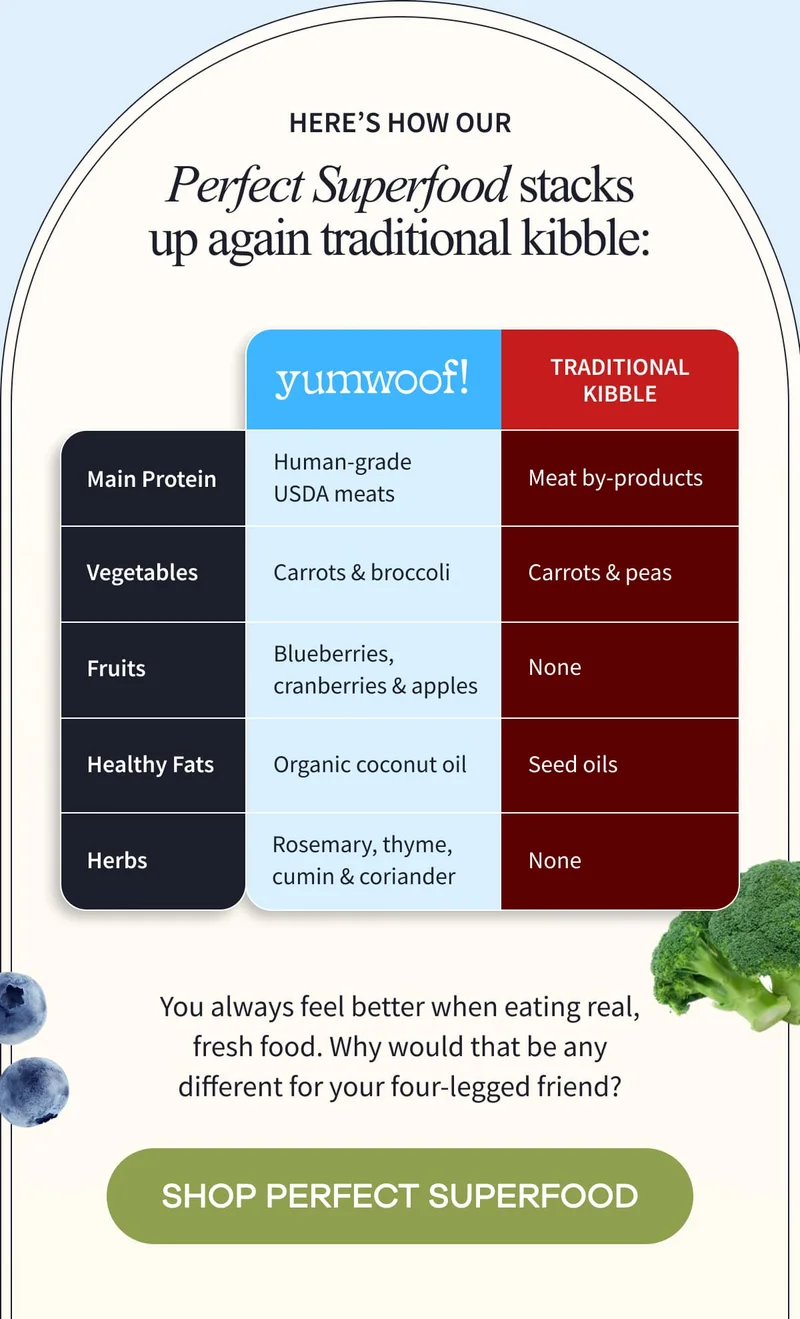 You always feel better when eating real, fresh food. Why would that be any different for your four-legged friend? | SHOP PERFECT SUPERFOOD